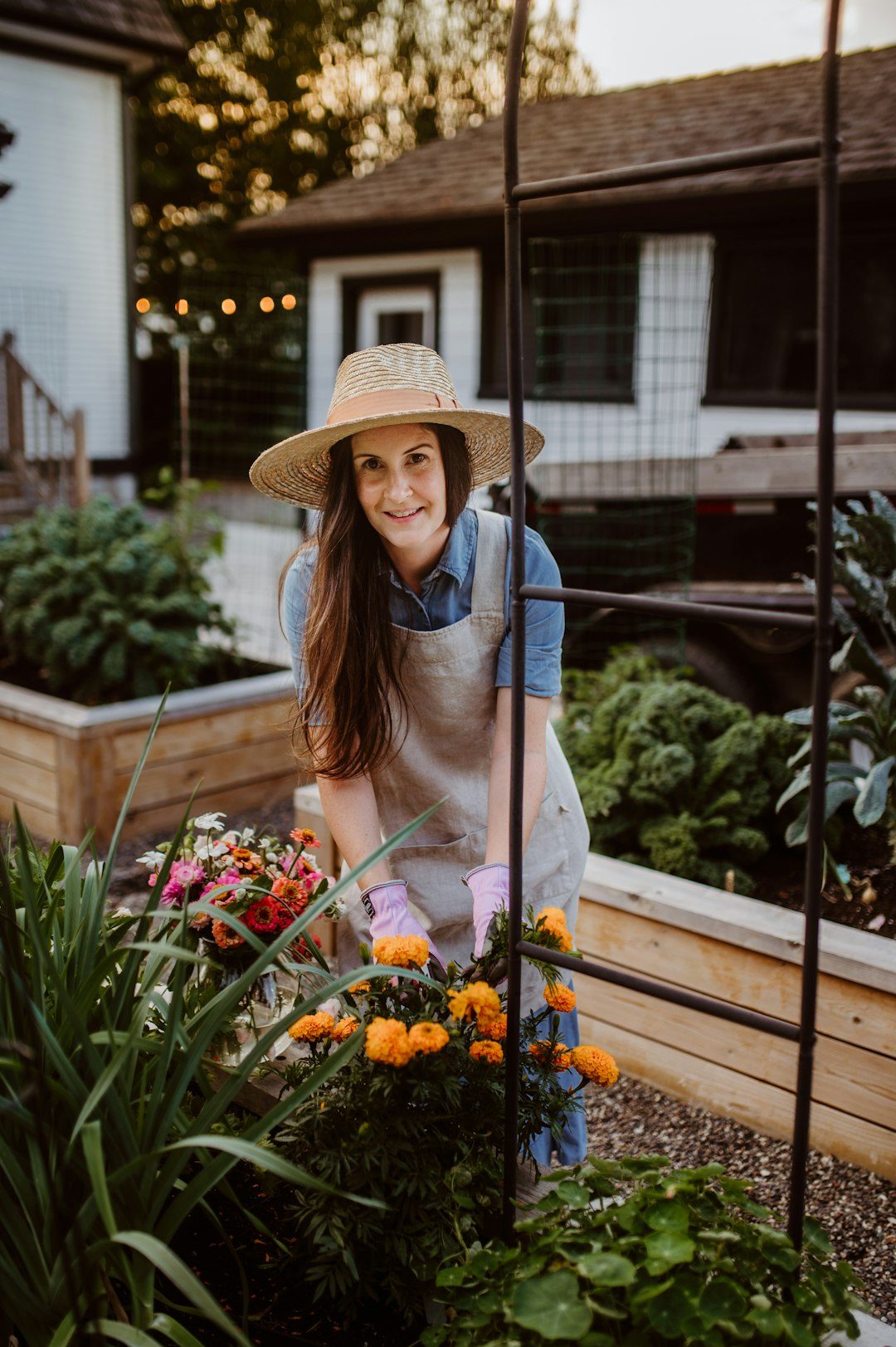 Gardener tending raised vegetable beds full of flowers and greens at golden hour