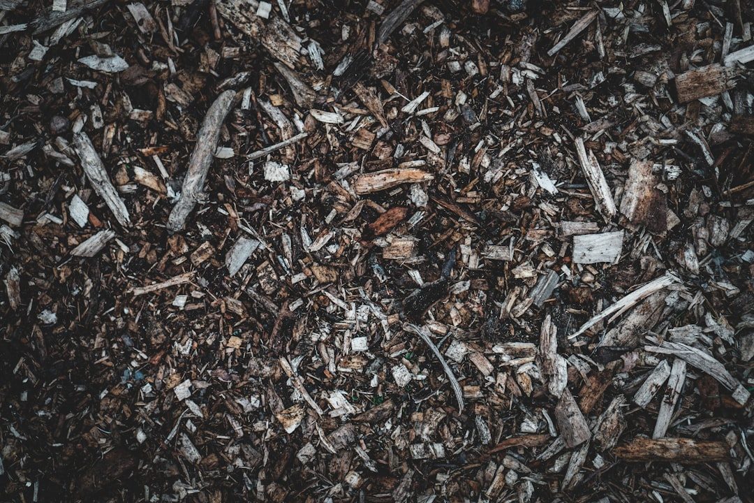 Fresh wood-chip mulch ready to spread across garden beds to retain moisture and suppress weeds
